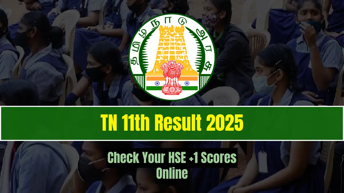 TN 11th Result 2025